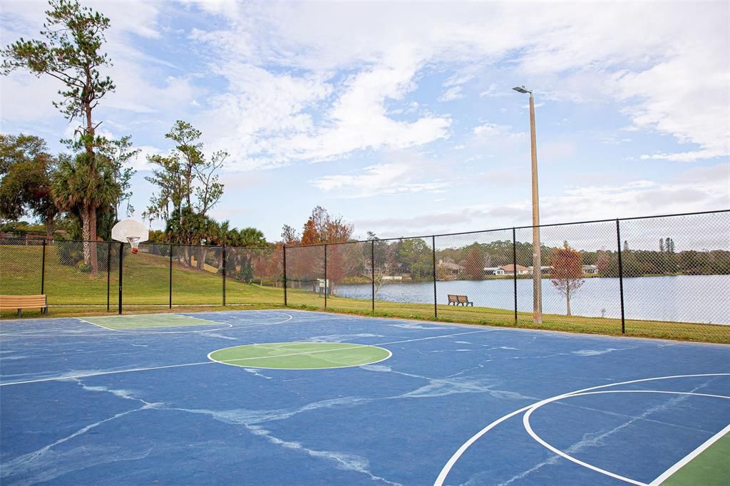 Basketball Court