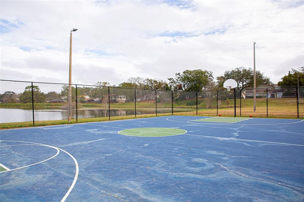 Basketball Court