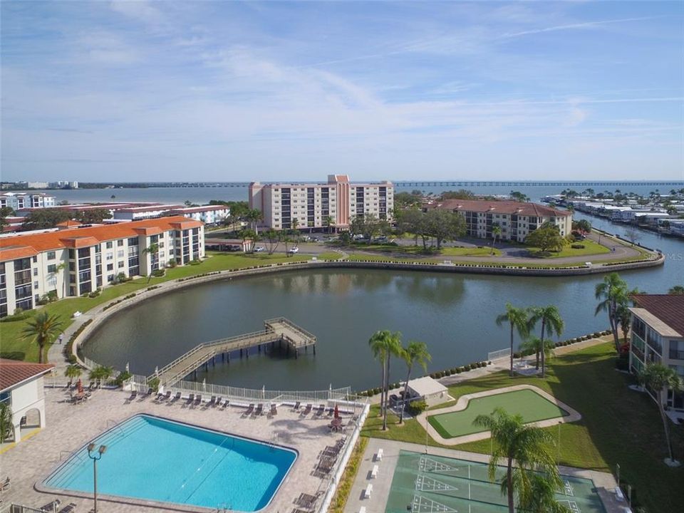 Aerial view of cove and Old Tampa Bay