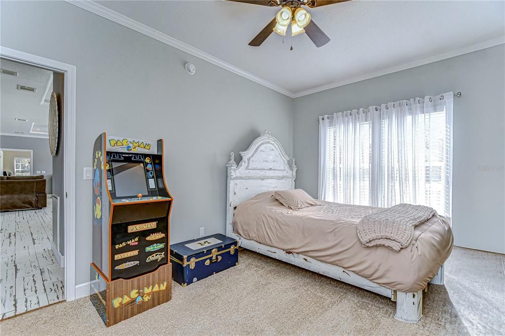 Third bedroom with beautiful natural light.