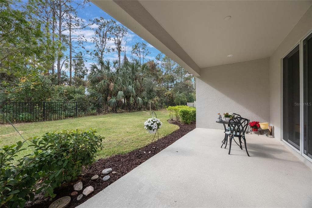 Peaceful wooded views from the patio.