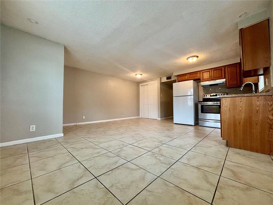 Living Room / Kitchen