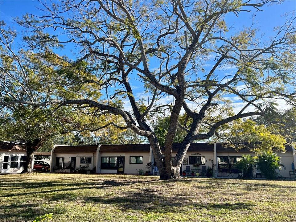 合同活跃: $110,000 (2 贝兹, 1 浴室, 812 平方英尺)