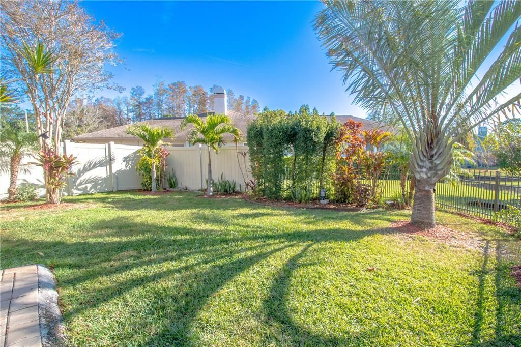 Well manicured yard with tropical palms.