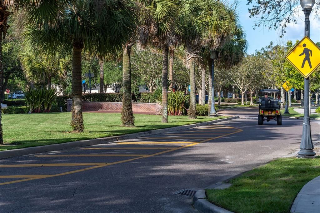 Downtown Winter Garden