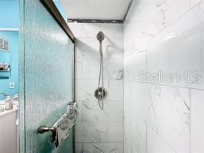 Master Bath Shower