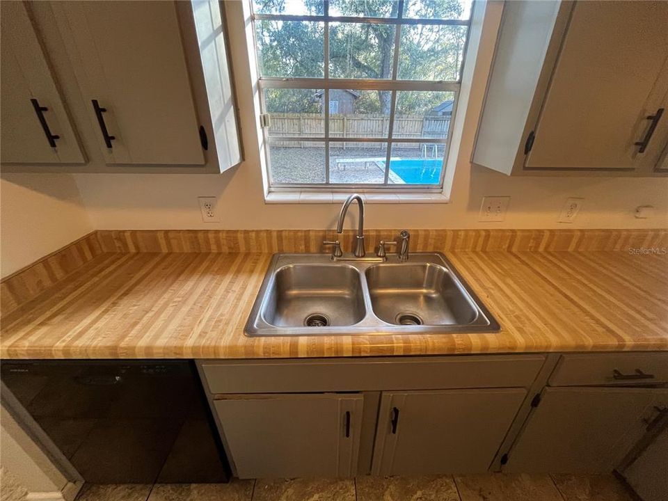 Kitchen Sink and Counter