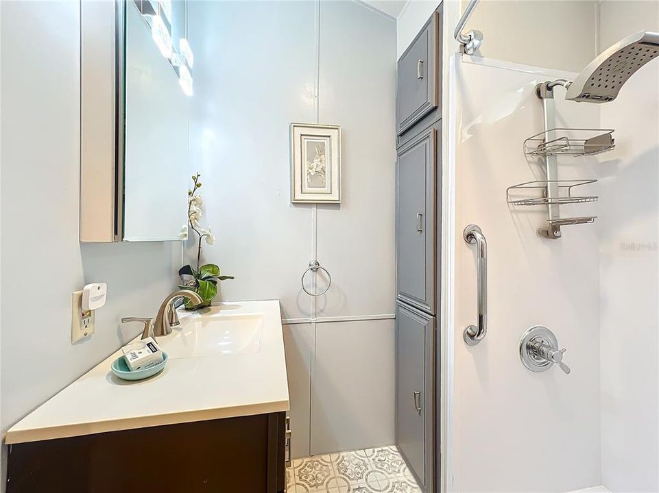 Another view of the bathroom.  Note the grab bar.