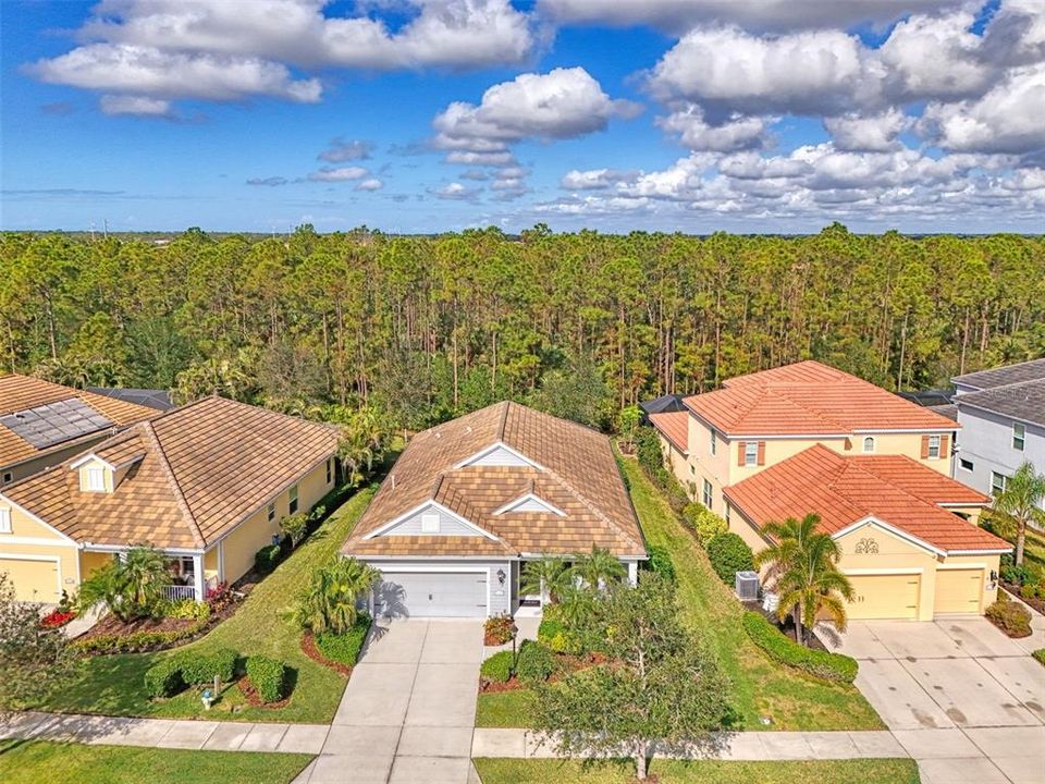 Private, forest-like preserve directly behind this home.