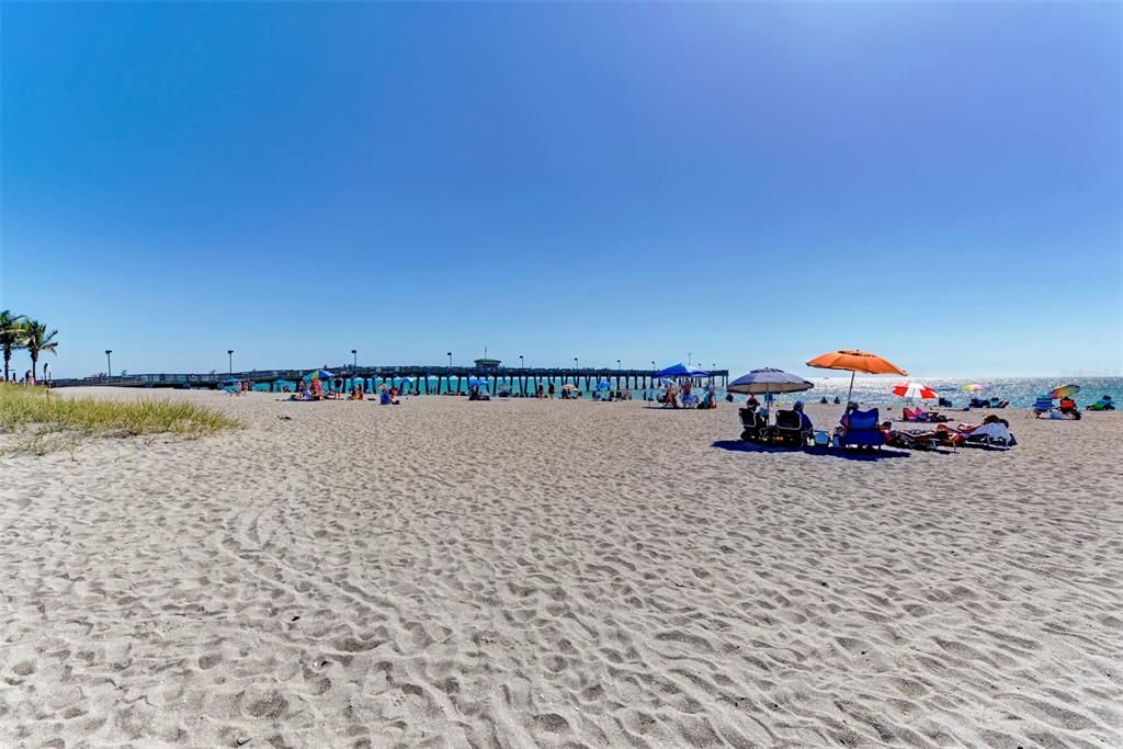 Venice Fishing Pier Beach