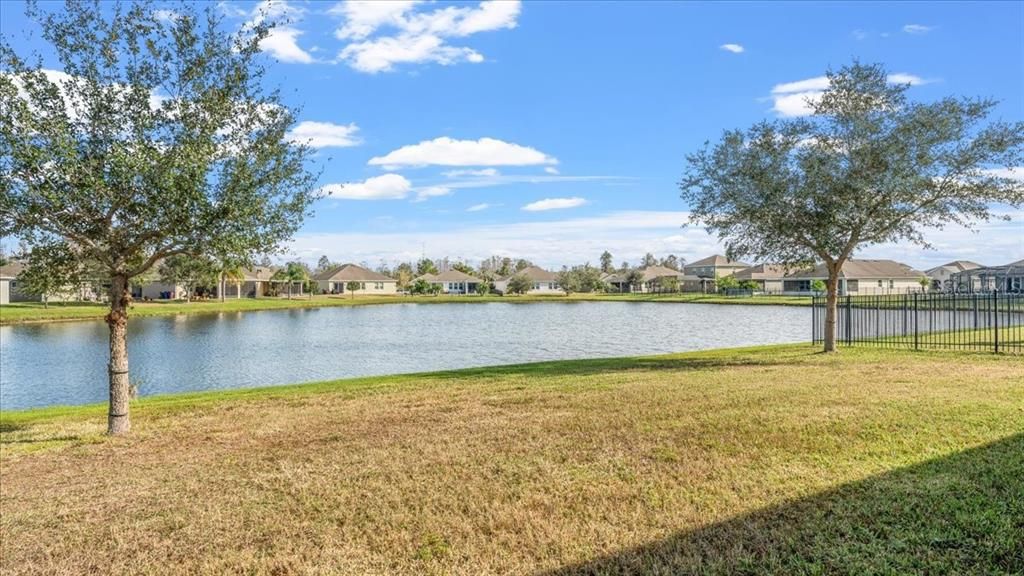 Backyard Pond View