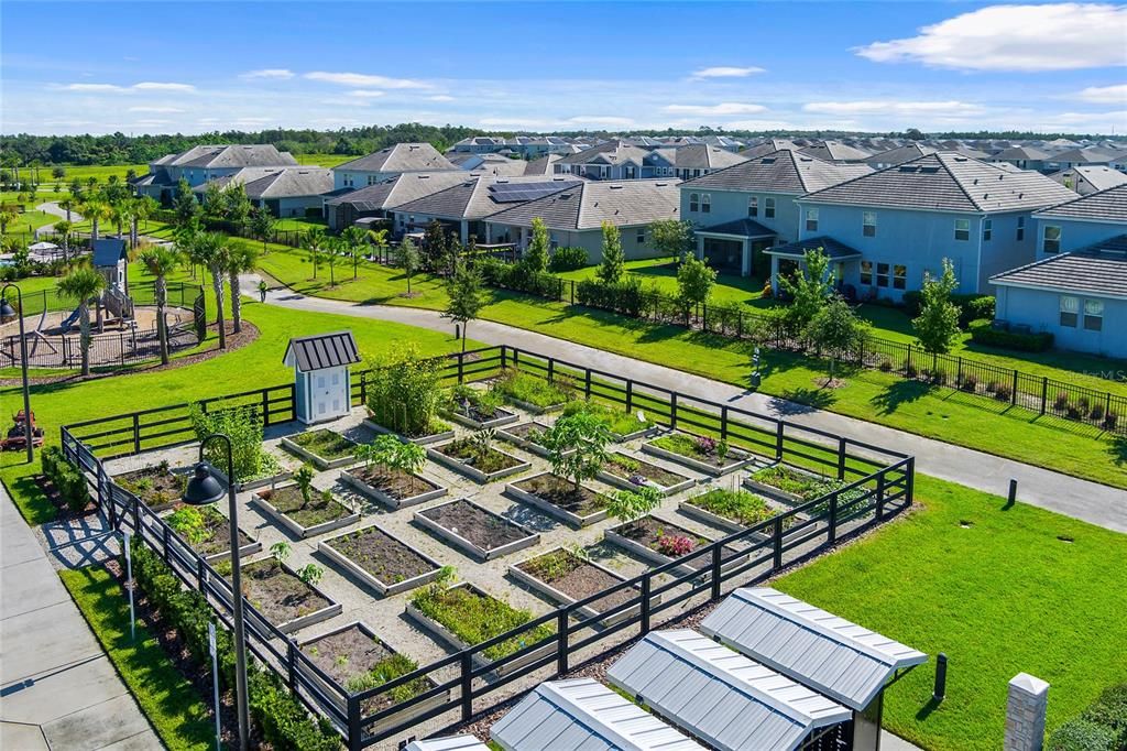 Community Garden