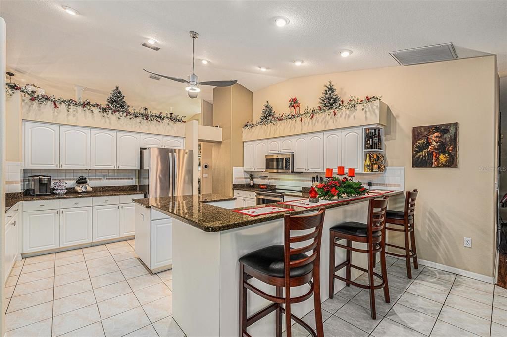 Primary Residence Kitchen