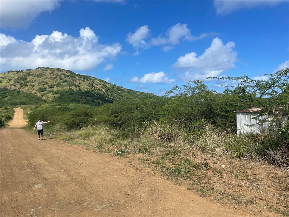 待售: $799,000 (5.00 acres)