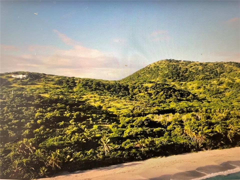 待售: $799,000 (5.00 acres)