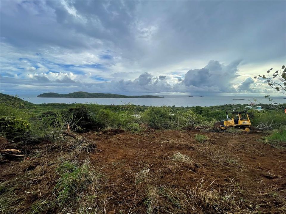 待售: $799,000 (5.00 acres)