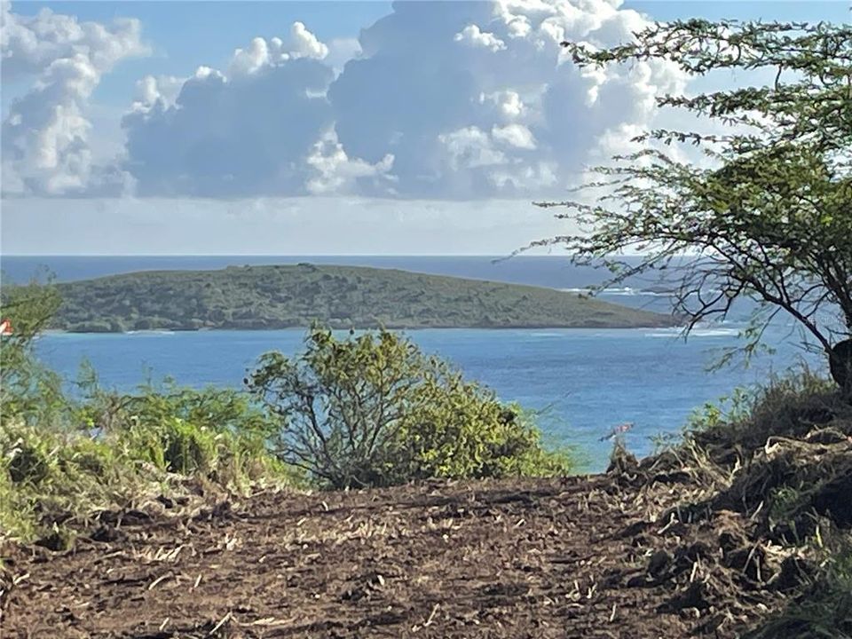 待售: $799,000 (5.00 acres)