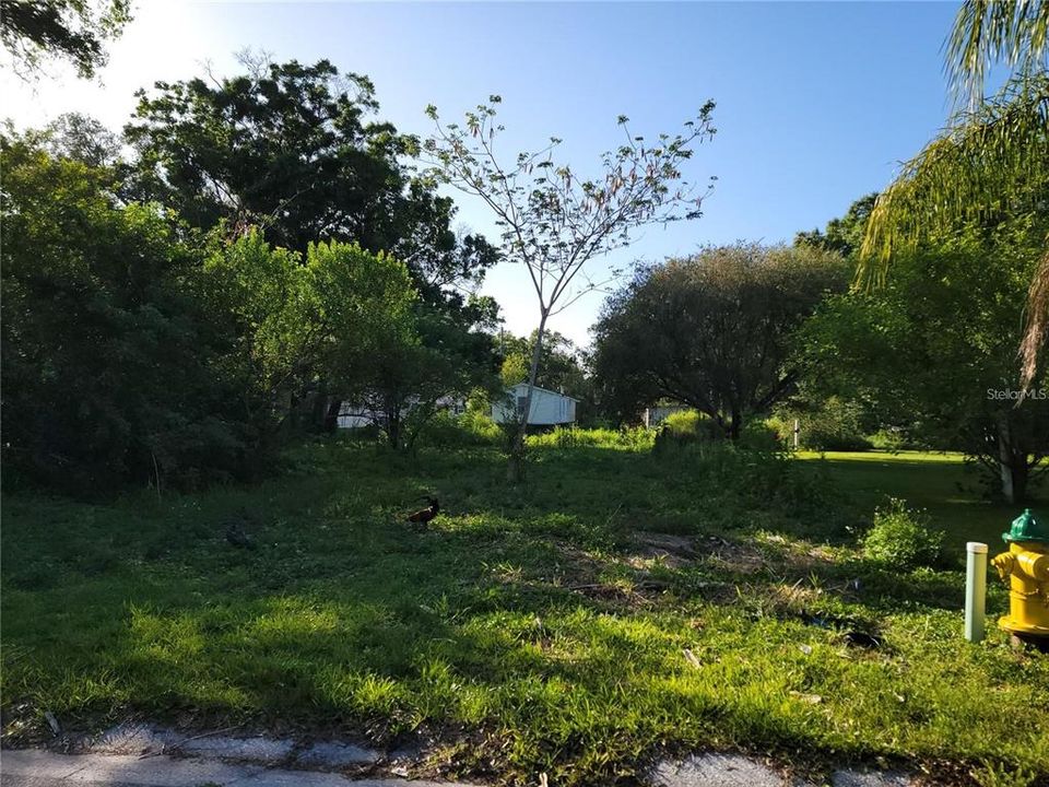 Recently Sold: $28,000 (0.12 acres)