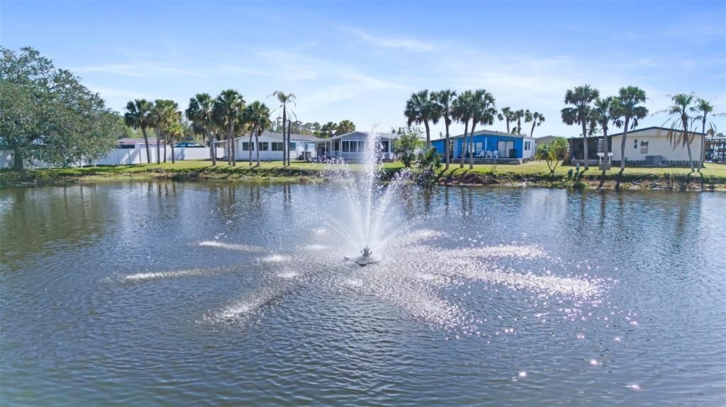 Enjoy your, what *seems* to be, your private pond, with a LARGE OUTDOOR WATER FOUNTAIN!