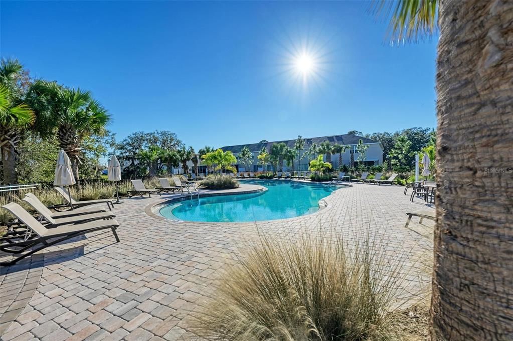 Resort style pool