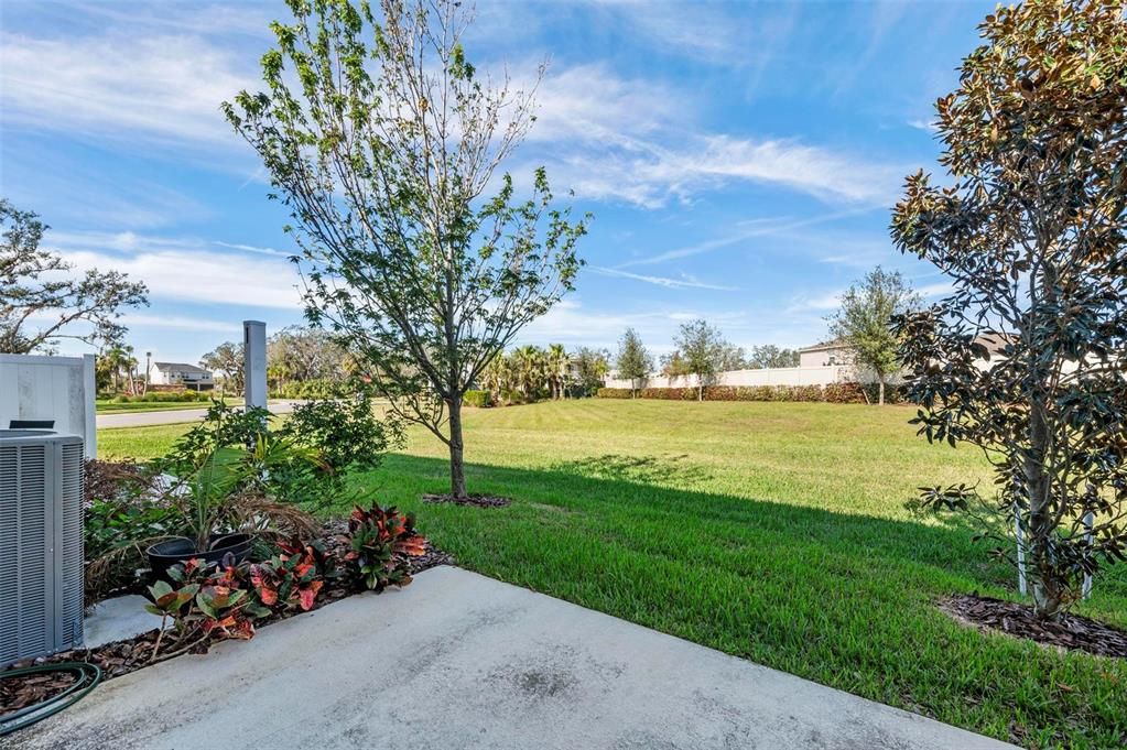 Back patio with extra green space for privacy