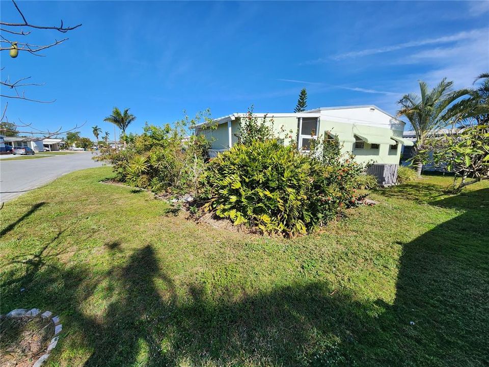 View of Back Yard