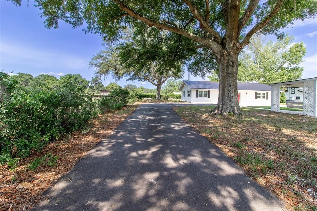 待售: $995,000 (3 贝兹, 2 浴室, 2298 平方英尺)