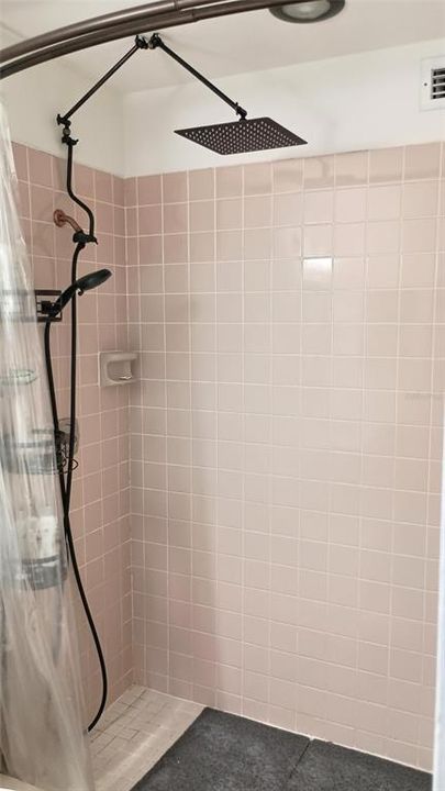 Primary bath walk-in shower.