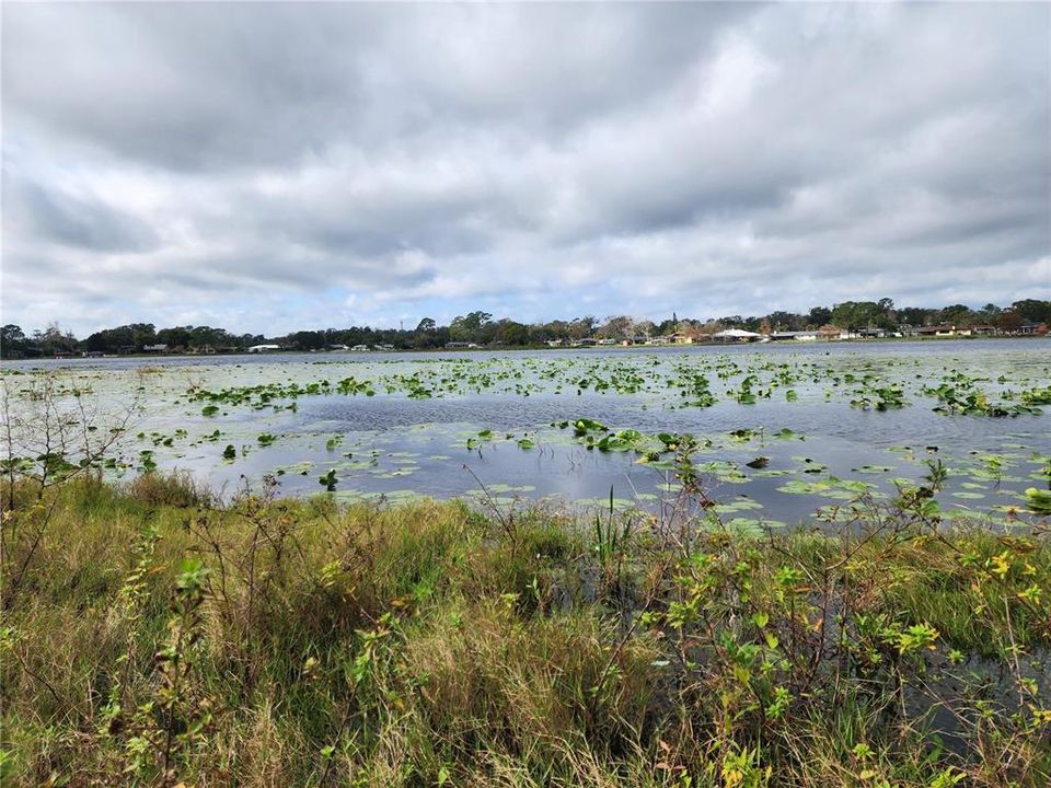 Lake Gleason is in your back yard!