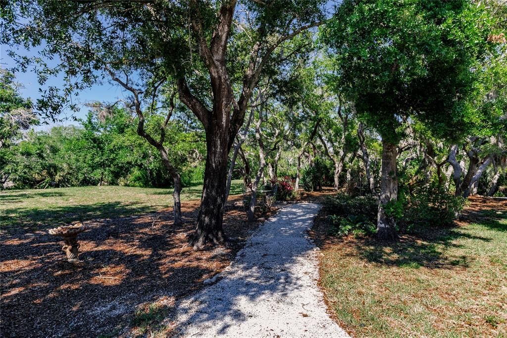 WALKWAY TO RIVER