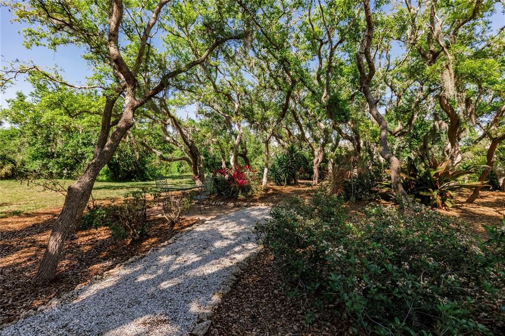 WALKWAY TO RIVER