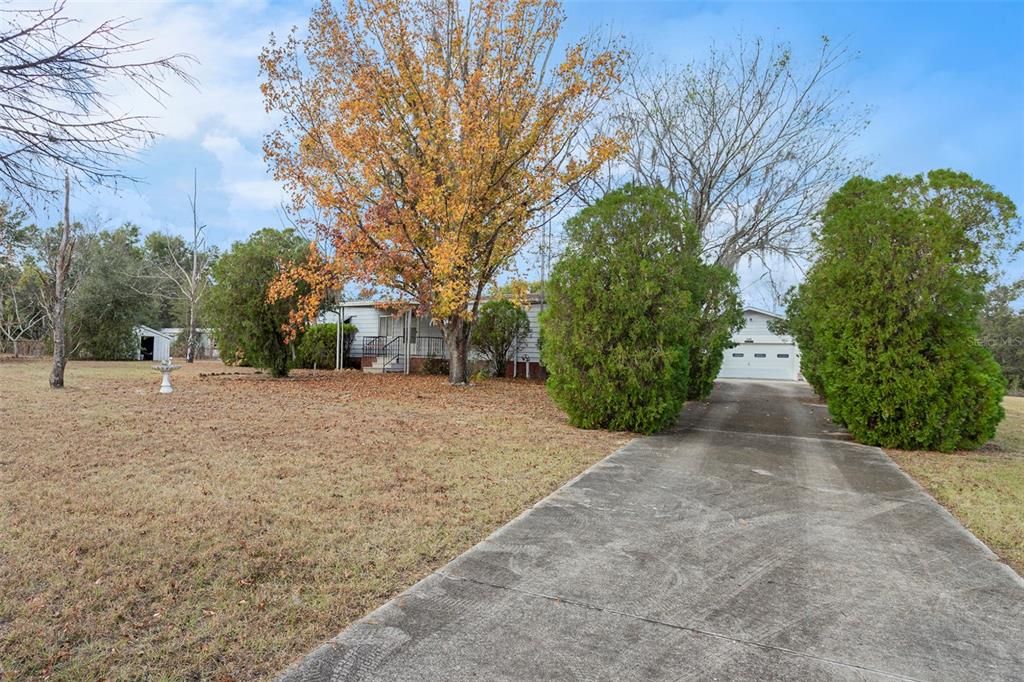 Picturesque driveway to the home