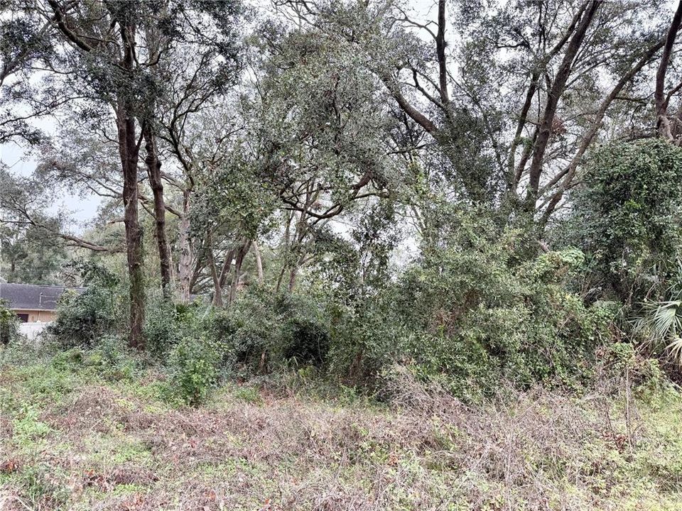 En Venta: $25,000 (0.14 acres)