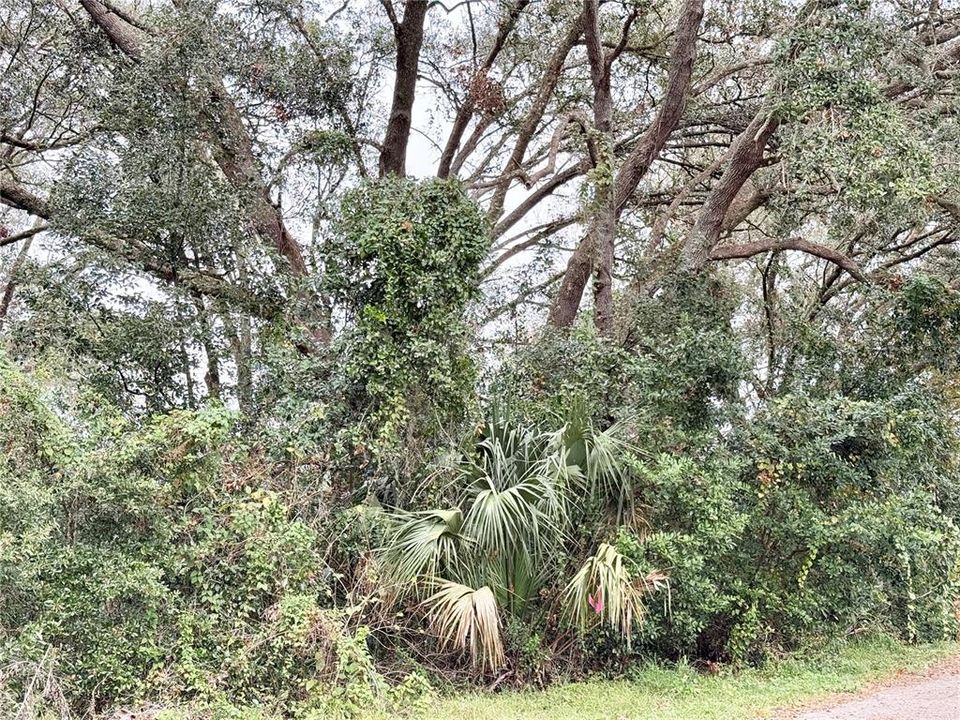 En Venta: $25,000 (0.14 acres)