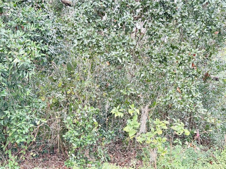 En Venta: $25,000 (0.14 acres)