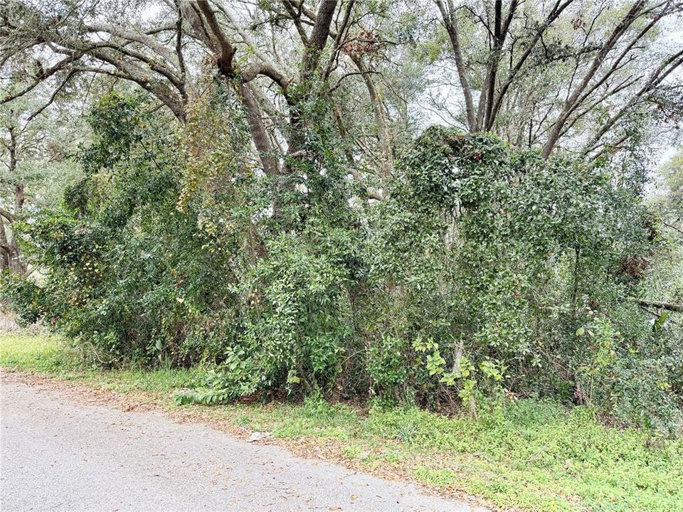 En Venta: $25,000 (0.14 acres)