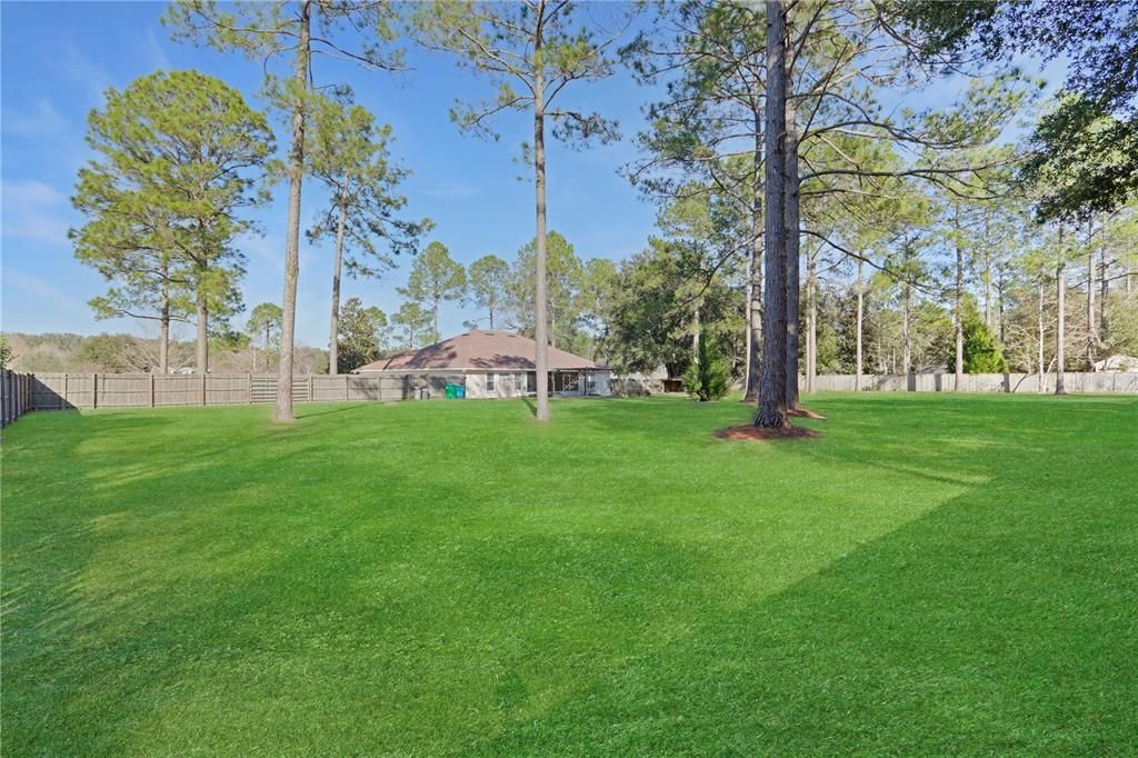 Spacious backyard to enjoy!