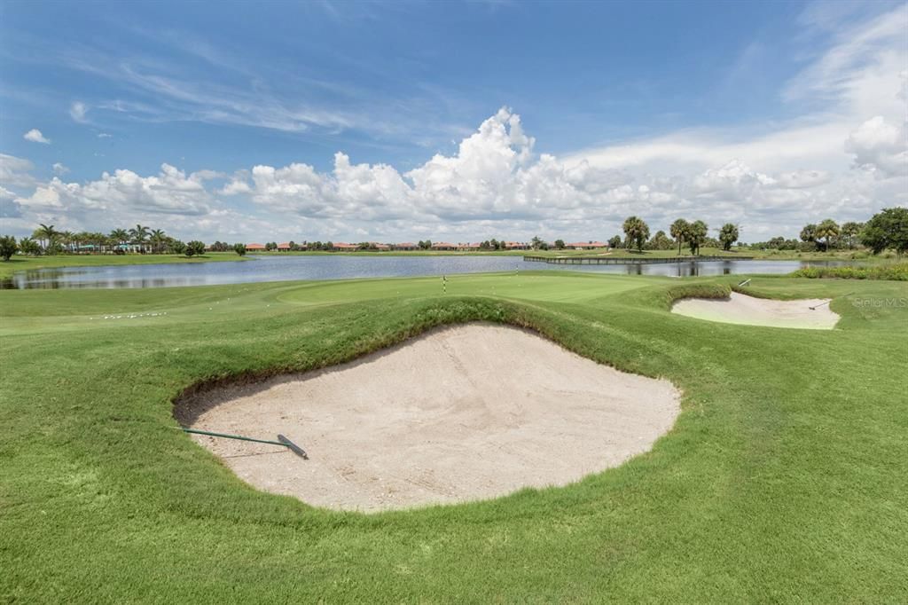 Practice Chipping Area