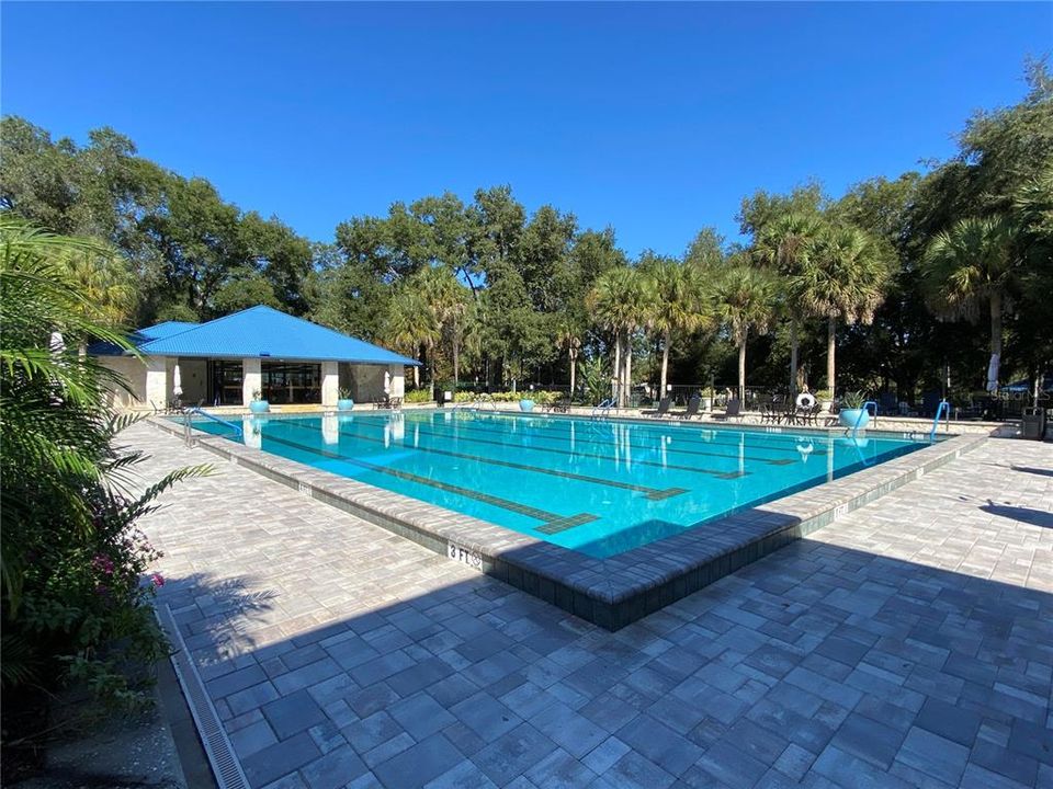 Orchid Club pool and Jacuzzi