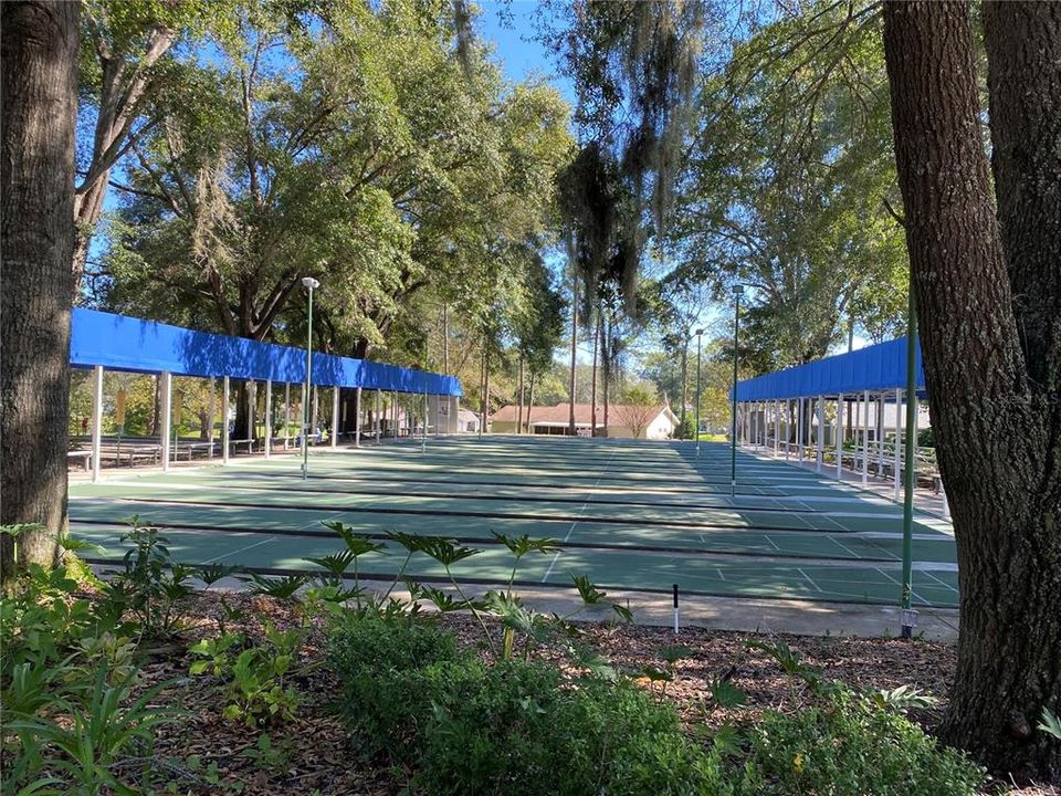 Shuffle board courts