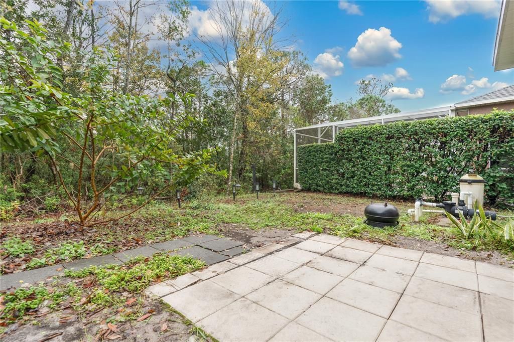 Large Backyard with Fences on Either Side