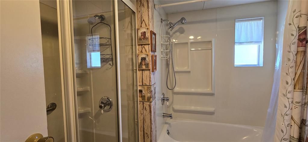 Tub w/ Shower and Separate Standup Shower