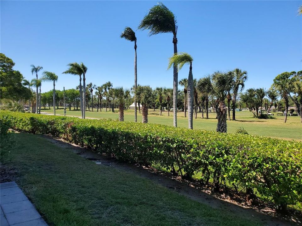 Golf Course view from pation