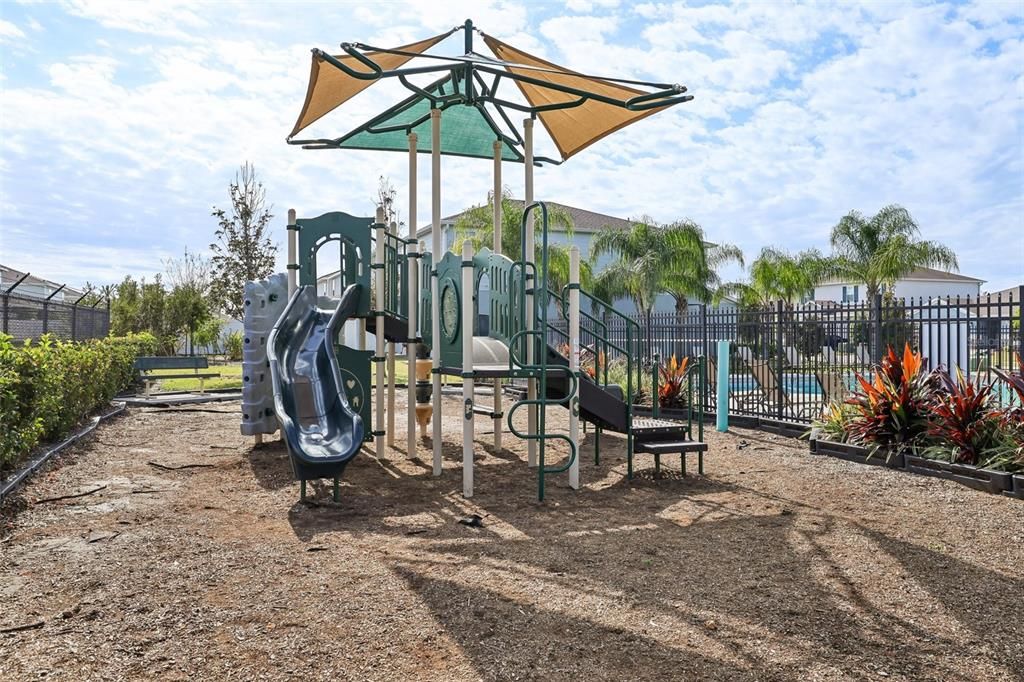 Community Playground