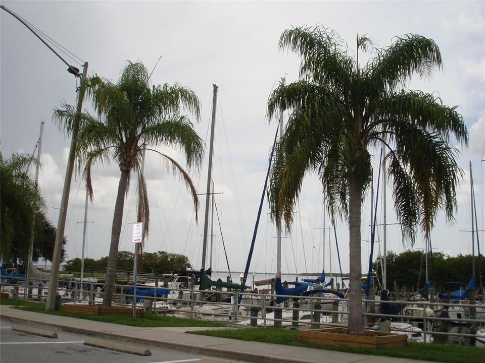 Safety Harbor Marina