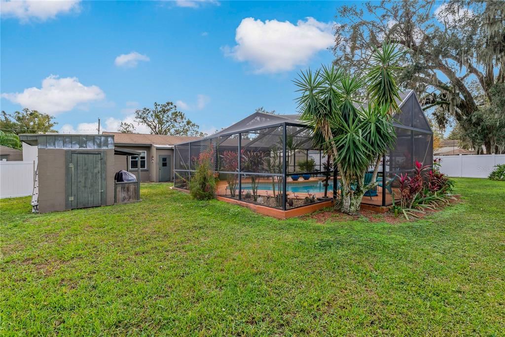 Back Yard.  Concrete block shed was formerly a well house.