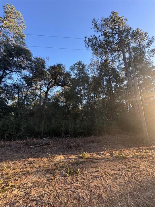 Vendido Recientemente: $8,000 (0.23 acres)