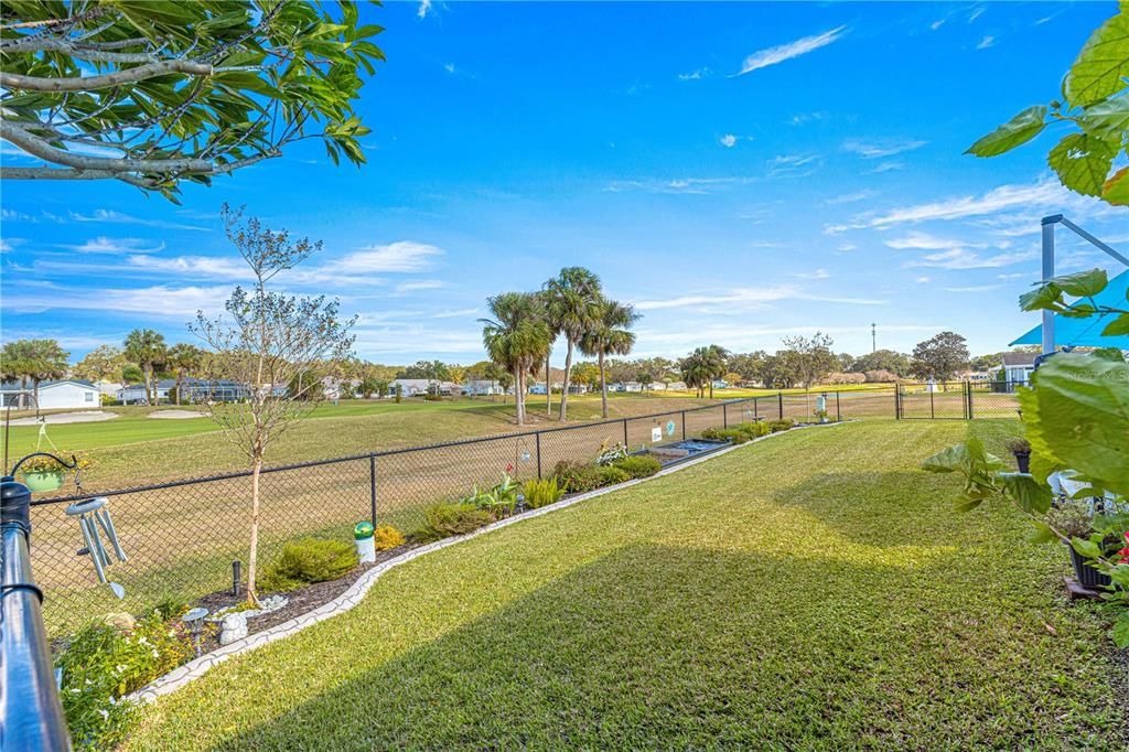 Fenced back yard