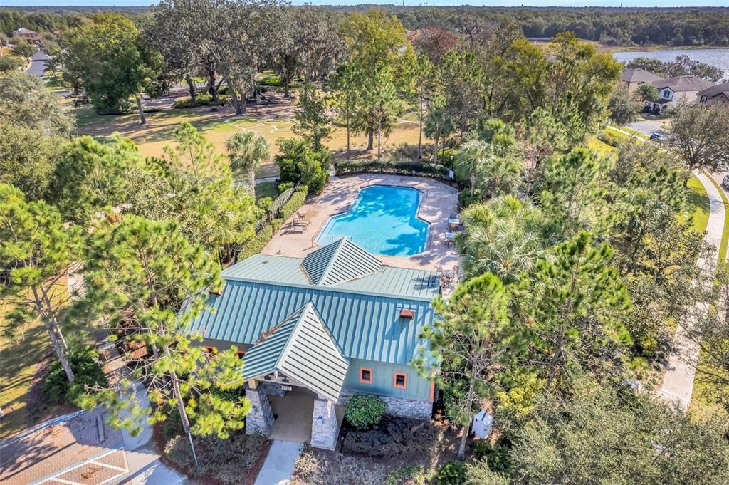 Community Pool Views