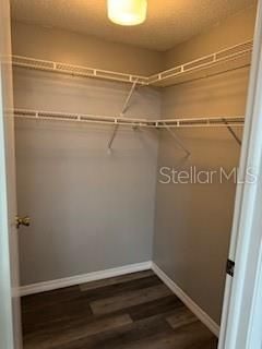 Master walk in closet